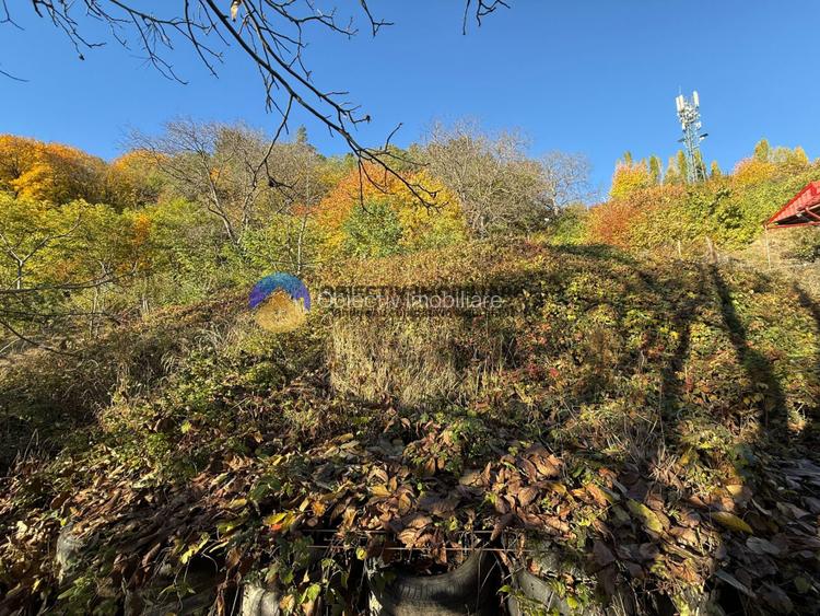 Teren intravilan 1543 mp – zona Darmanesti - 3