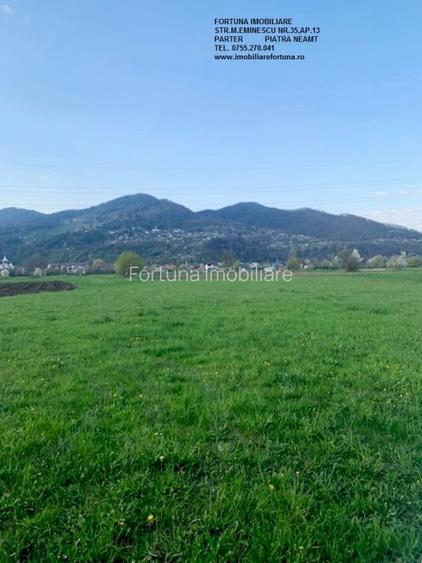 Teren Vadurele, Al.cel Bun - 2