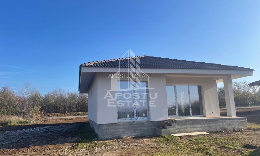 Casa individuala in Petrovaselo - 12