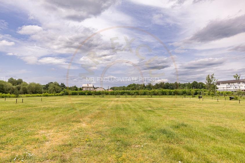 Afacere multifuncțională cu venituri imediate si potențial de extindere - 15