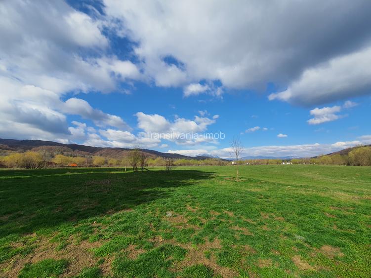 Teren Rasnov – Predeal zona de pensiuni - 5