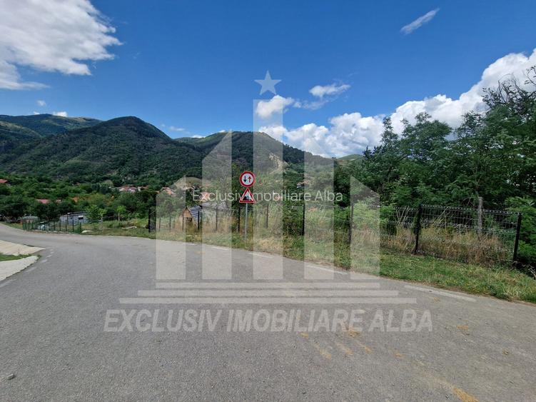 Cabana A-frame | 60 mp | 3000 mp teren | Ampoita - 4