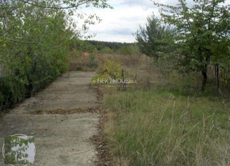 Casa Vacanta Izvorani - 5