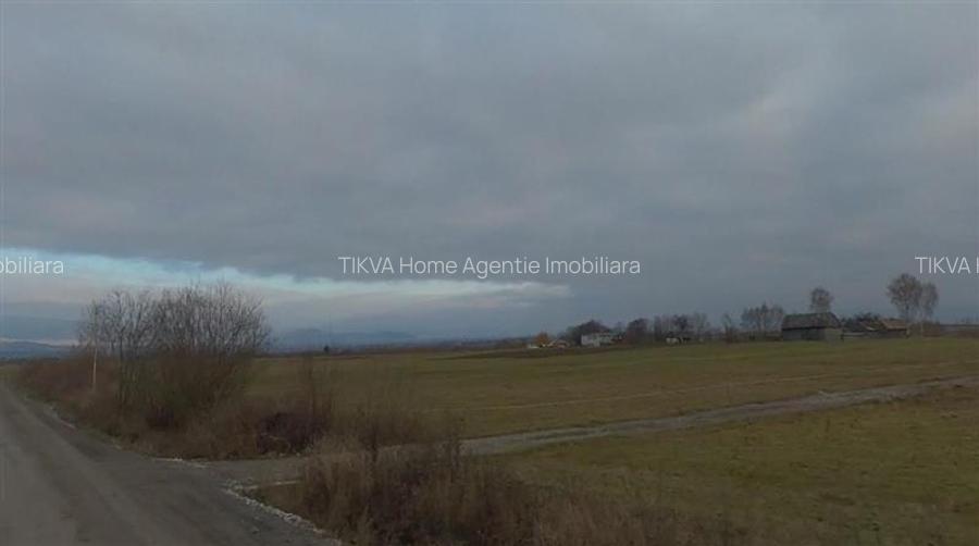 Teren intravilan in Sineu, com. Remetea - 5