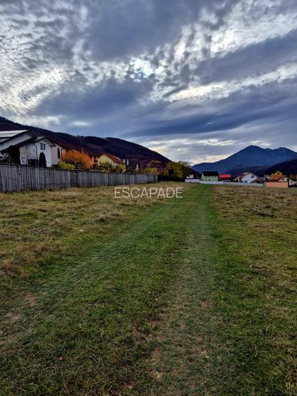 Teren Intravilan superb, 504 mp x 2/ casa locuit Bunloc - 5