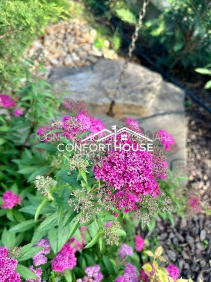 Vila cu arhitectura moderna,  piscina, cartier rezidential, IANCU NICOLAE - 51