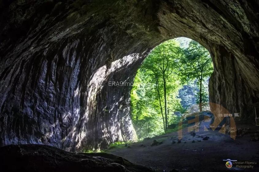 Proprietate de vacanta, pensiune si pastravarie - 3