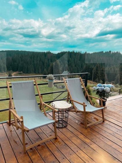 Proprietate deosebita, cabana in stil scandinav, 250 mp utili, Belis - 5