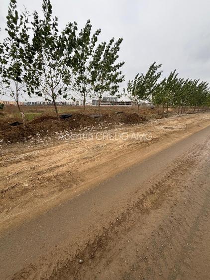 Theodor Pallady, Gura Solcii, 6000mp, vazare teren intravilan - 3