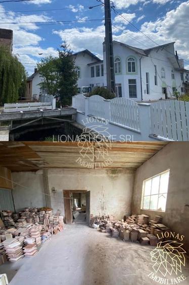 Business/Casa/Hala - 28 ari - Livezile- EXCLUSIVITATE - 4