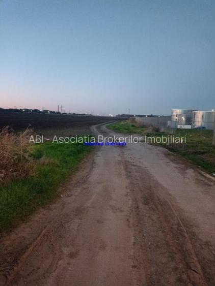 Teren constructie hale - 2