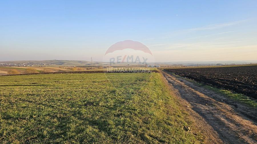 Teren extravilan 10200mp Stroiesti / Soseaua DN17, Suceava - 10