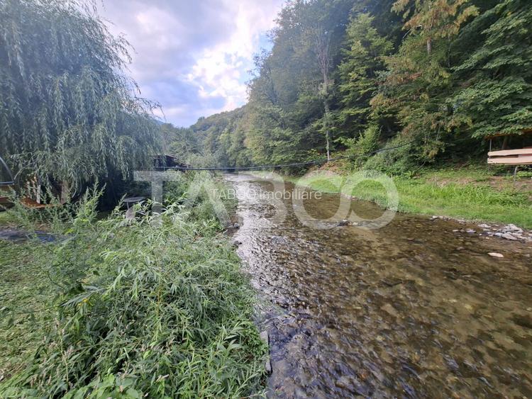Spatiu de vanzare in Valea Macesului judel Valcea iesire la Lotru - 22