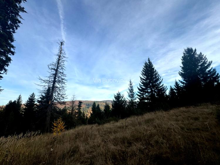 Vanzare 5,3 ha pasune deasupra Voronetului Suceava - Proiect Turistic - 29