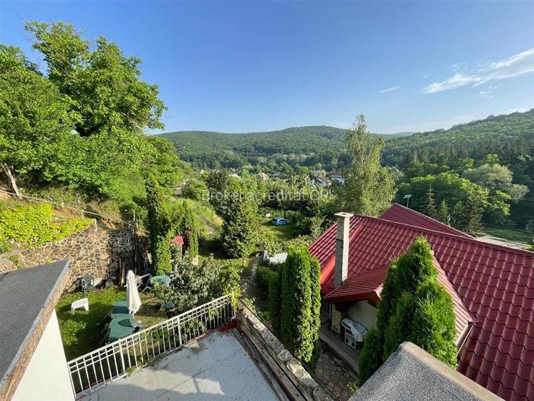 Cabana/Vila de inchiriat Valea Budului, Margineni - 28