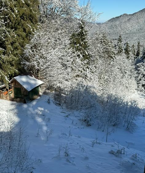 Teren Cioplea Predeal - 5