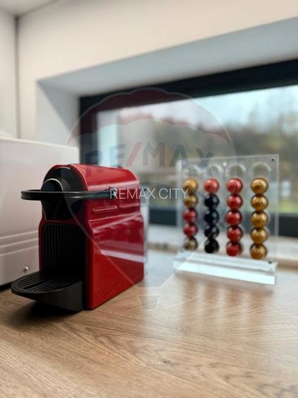 Vanzare Vila la munte - 21