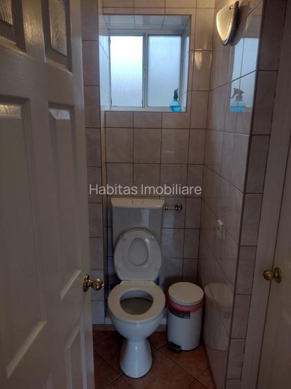 Casa de inchiriat, activitati diverse, zona Grigorescu - 15