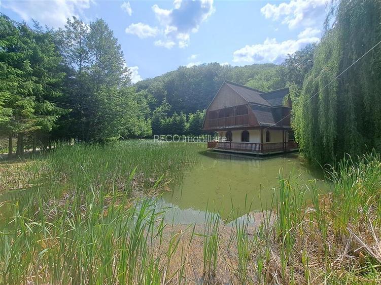 Cabana pe apa in Padurea Neagra - 3