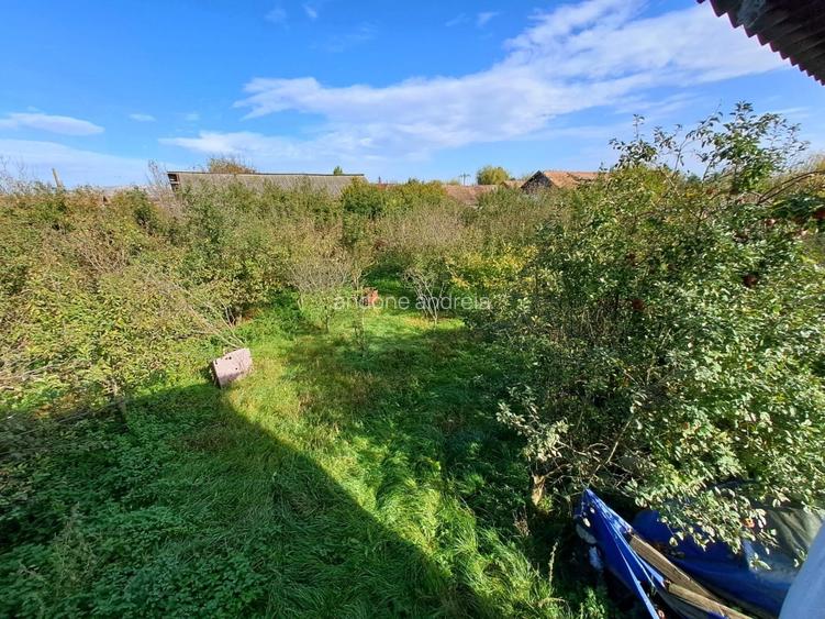 Vând teren intravilan si 2 imobile constructii - 2