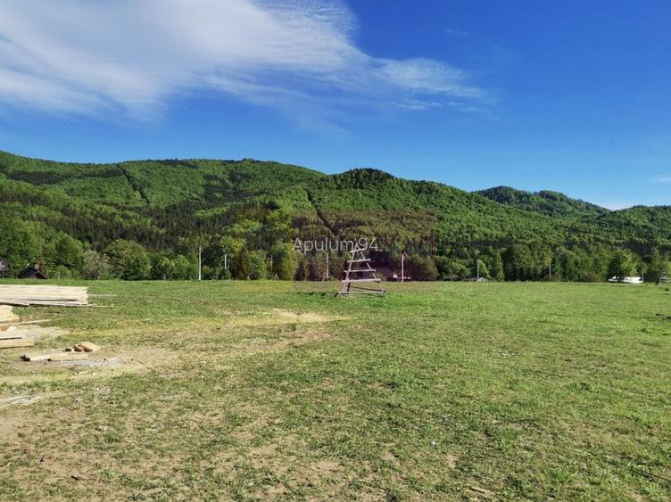 Vila A Frame de vanzare in Valea Doftanei - 6