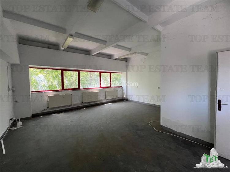De inchiriat spatii comerciale, hale si birouri - 8