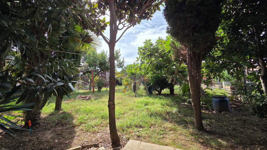Coiciu,casa caramida,85 mp, teren 631mp, 17m deschidere