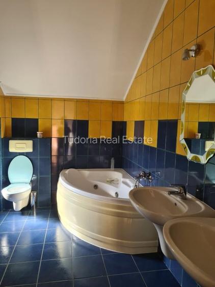 Casa individuala, 325 mp, teren 6475 mp, Vetis, Satu Mare! - 20