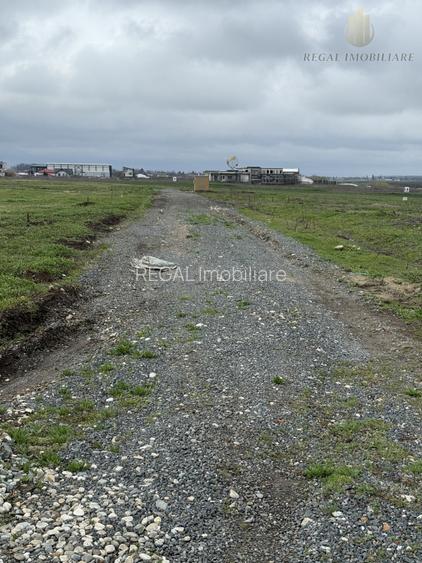 Teren Frumusani Gaz- Curent 400 mp |  D.N. 4 - 7