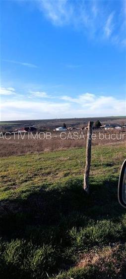 Teren TOP 1400mp  18ml stradal  Vanatori (Odaia Manolache) - 9