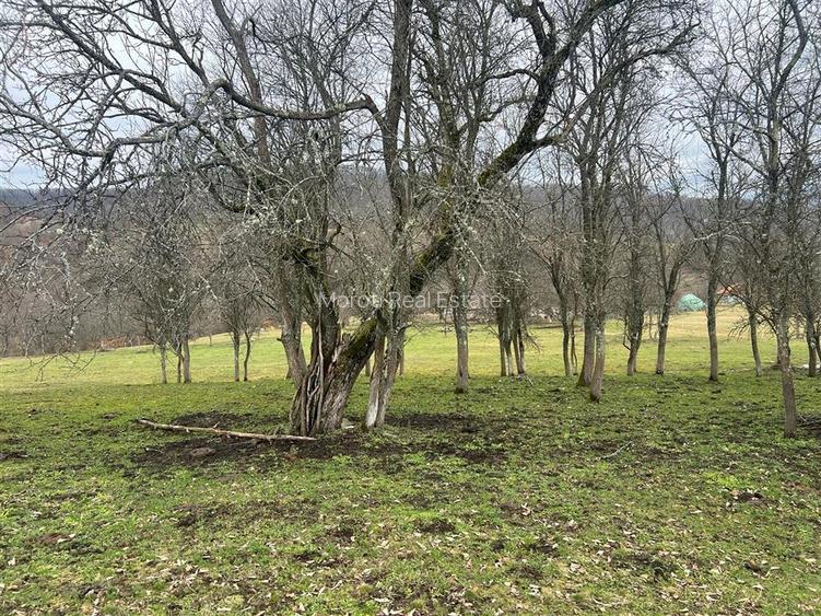 Teren intravilan si extravilan Luncoiu de Jos - 14