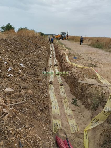 TEREN INDUSTRIAL 20.000 MP - TÂNGANU - A2 PUZ APROBAT - 11