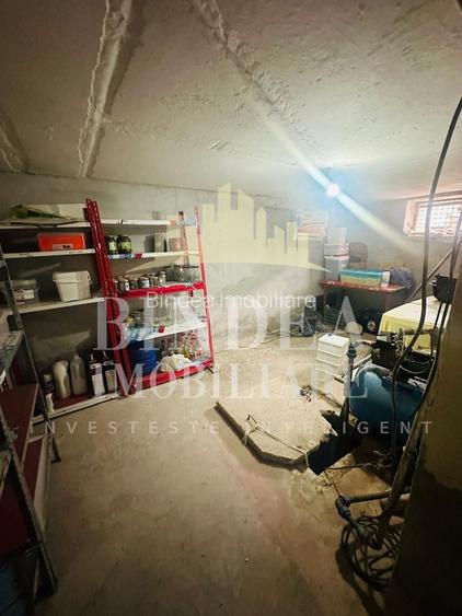 Casa pe principala in Giarmata  737mp teren - 18