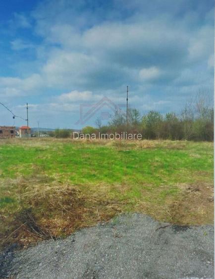 TEREN INTRAVILAN - STRADA AEROPORTULUI\ CARANSEBEȘ\JUD.CARAȘ-SEVERIN - 3