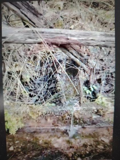 Teren 17,895mp Dorna-Arini / Prelungirea Cozănești - 7