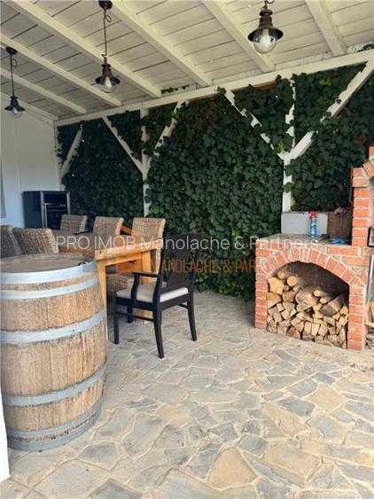 Casa tip S+P+1E+M in zona Gura Calnaului - 22