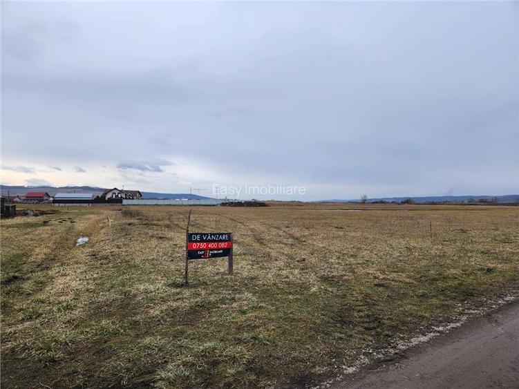 Teren intravila drept, loc de casa , 1300 mp Ernei,  Mures, zona linistita - 4