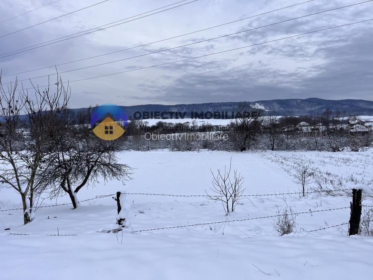 Teren Com. Negresti- jud. Neamt - 5