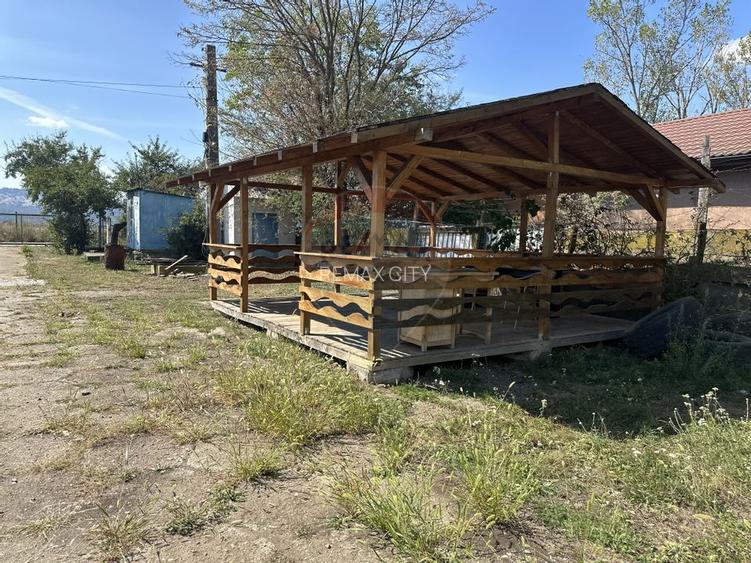 Spațiu industrial hale depozitare si productie - 3