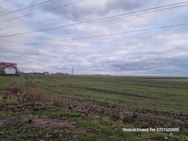 Corbu- Teren 2500mp la intrare in localitate pe dreapta - 15