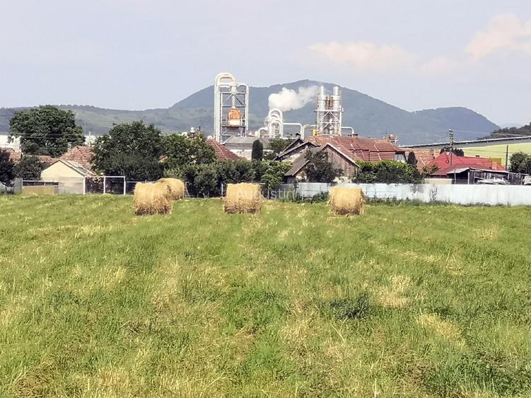 Potențial imobiliar! casa curte, front 15 m, teren 11000 mp - 4