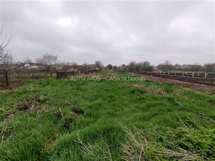 Iecea Mare - Timis, Casa cu Gradina, 1800mp Teren, Pret Negociabil - 3