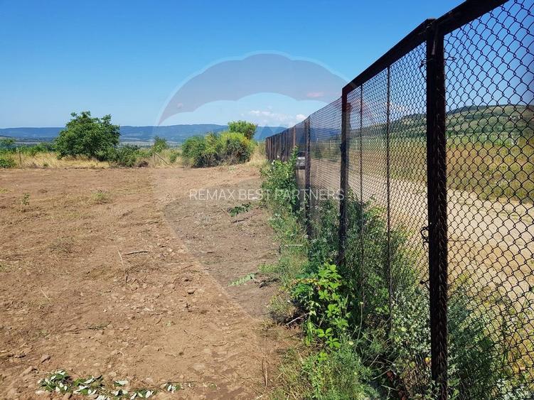 Teren de vanzare in Schela Cladovei, 1760 MP, Intravilan - 2