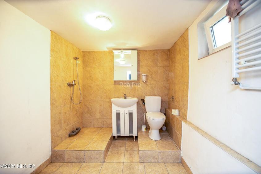 Freidorf - Vila Multifunctionala - D+P+1, 380 mp utili! - 19