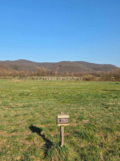 Vand teren intravilan cu livada de gutui - 4