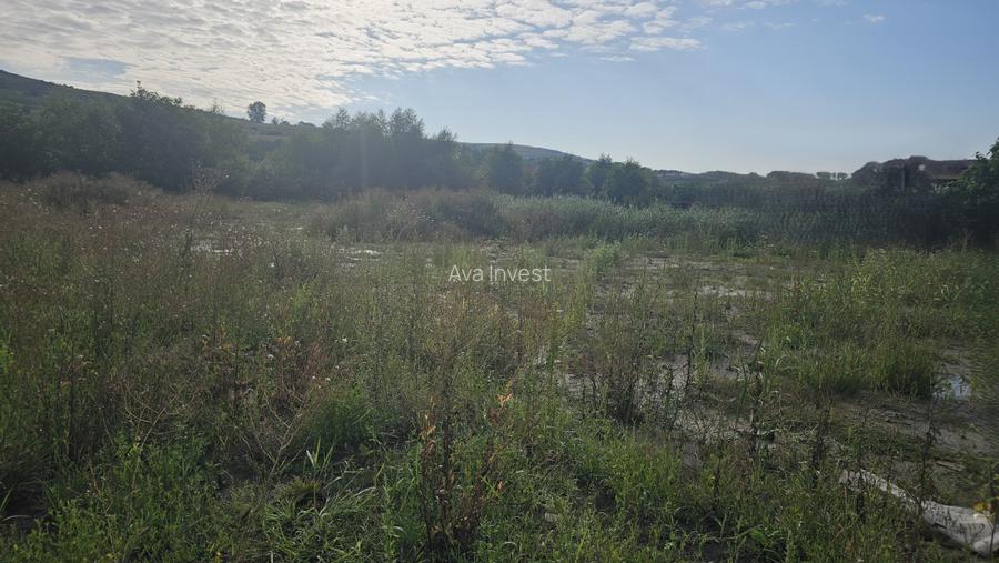 Teren strada Ion Creanga, comuna Chinteni - 3