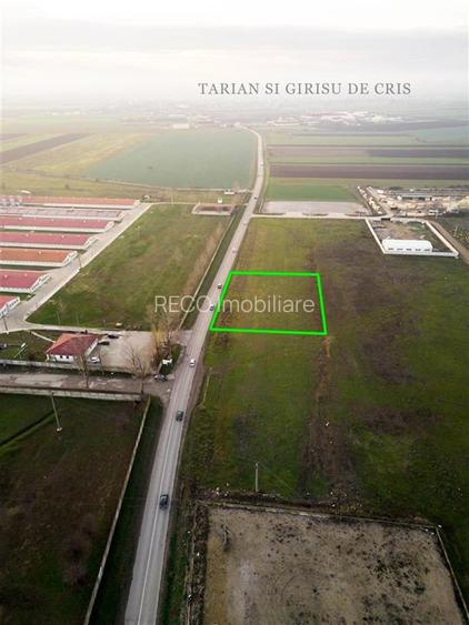 RECO Teren intravilan pentru servicii 1500 mp zona industriala Santandrei - 3