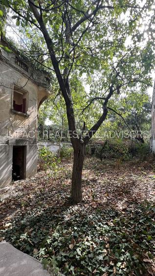 VILA INDIVIDUALA CISMIGIU | INTR. TEMISANA - 8