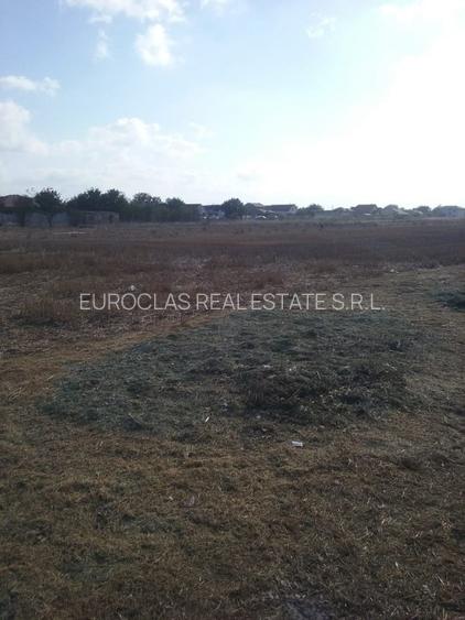 Exclusiv! Teren intravilan 6.100 mp - Cumpana - 29 euro/mp  (Cod E3) - 4