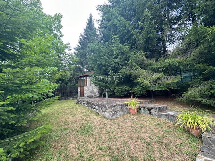 Azuga - Strada Garbovei - 7